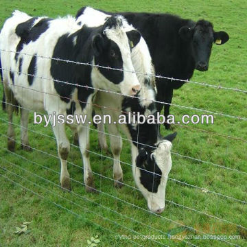 Galvanied Cattle / Sheep / Dear / Horse Fencing